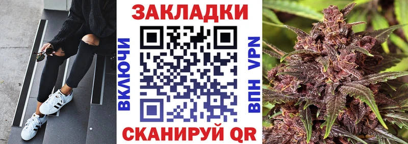 Что такое Порхов Галлюциногенные грибы  А ПВП  Конопля  ГАШИШ  COCAIN 