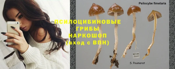 прущие крисы Алексеевка