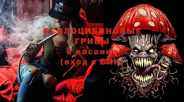 гидра Алзамай