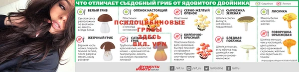 гидра Алзамай