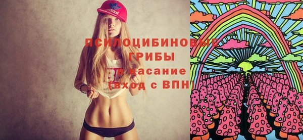 гидра Алзамай